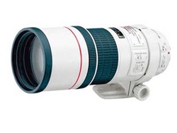 Canon EF 300mm f/4L IS USM lens